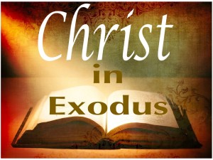 Christ in Exodus